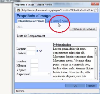 insertion_Image1.jpg (31037 octets)