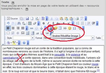 insertion_Image3.jpg (32494 octets)
