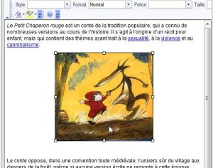insertion_Image7.jpg (20064 octets)